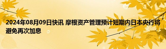 2024年08月09日快讯 摩根资产管理预计短期内日本央行将避免再次加息