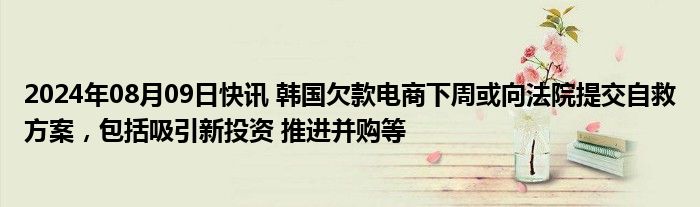 2024年08月09日快讯 韩国欠款电商下周或向法院提交自救方案，包括吸引新投资 推进并购等