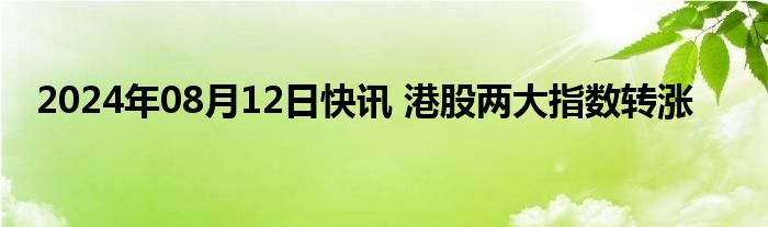 2024年08月12日快讯 港股两大指数转涨