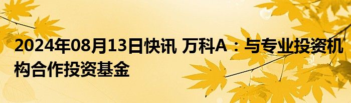 2024年08月13日快讯 万科A：与专业投资机构合作投资基金