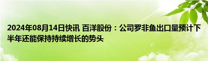 2024年08月14日快讯 百洋股份：公司罗非鱼出口量预计下半年还能保持持续增长的势头