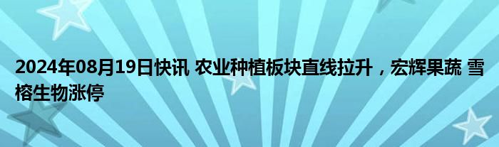 2024年08月19日快讯 农业种植板块直线拉升，宏辉果蔬 雪榕生物涨停