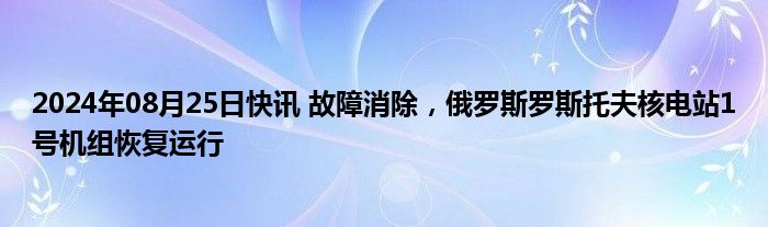 2024年08月25日快讯 故障消除，俄罗斯罗斯托夫核电站1号机组恢复运行