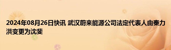 2024年08月26日快讯 武汉蔚来能源公司法定代表人由秦力洪变更为沈斐