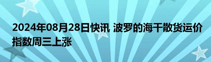 2024年08月28日快讯 波罗的海干散货运价指数周三上涨