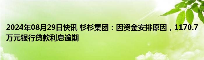 2024年08月29日快讯 杉杉集团：因资金安排原因，1170.7万元银行贷款利息逾期