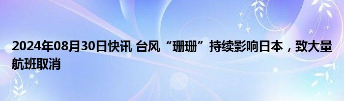 2024年08月30日快讯 台风“珊珊”持续影响日本，致大量航班取消