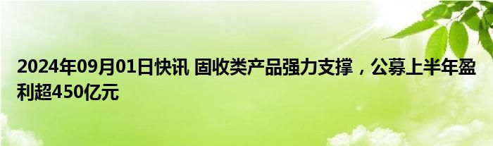 2024年09月01日快讯 固收类产品强力支撑，公募上半年盈利超450亿元