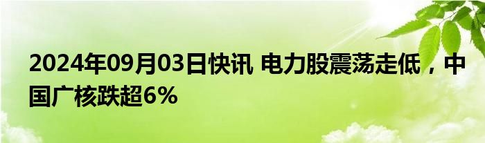 2024年09月03日快讯 电力股震荡走低，中国广核跌超6%