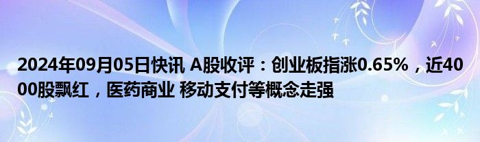 2024年09月05日快讯 A股收评：创业板指涨0.65%，近4000股飘红，医药商业 移动支付等概念走强