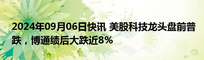 2024年09月06日快讯 美股科技龙头盘前普跌，博通绩后大跌近8%