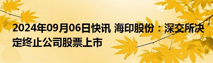 2024年09月06日快讯 海印股份：深交所决定终止公司股票上市