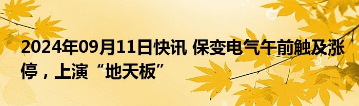 2024年09月11日快讯 保变电气午前触及涨停，上演“地天板”