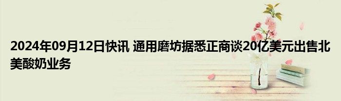 2024年09月12日快讯 通用磨坊据悉正商谈20亿美元出售北美酸奶业务