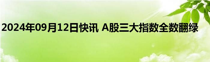 2024年09月12日快讯 A股三大指数全数翻绿