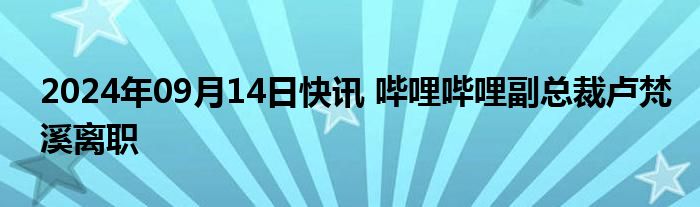 2024年09月14日快讯 哔哩哔哩副总裁卢梵溪离职