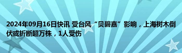 2024年09月16日快讯 受台风“贝碧嘉”影响，上海树木倒伏或折断超万株，1人受伤