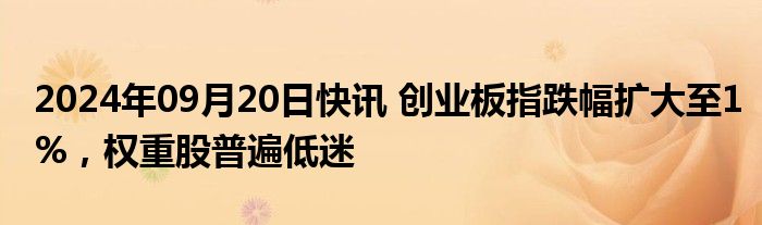 2024年09月20日快讯 创业板指跌幅扩大至1%，权重股普遍低迷