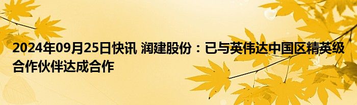 2024年09月25日快讯 润建股份：已与英伟达中国区精英级合作伙伴达成合作