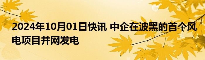 2024年10月01日快讯 中企在波黑的首个风电项目并网发电