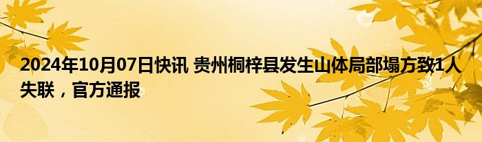 2024年10月07日快讯 贵州桐梓县发生山体局部塌方致1人失联，官方通报