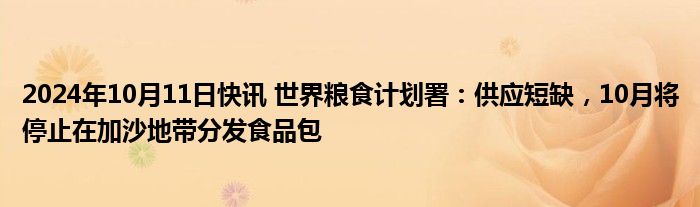 2024年10月11日快讯 世界粮食计划署：供应短缺，10月将停止在加沙地带分发食品包