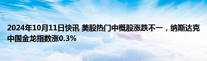 2024年10月11日快讯 美股热门中概股涨跌不一，纳斯达克中国金龙指数涨0.3%