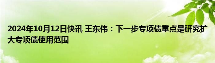 2024年10月12日快讯 王东伟：下一步专项债重点是研究扩大专项债使用范围