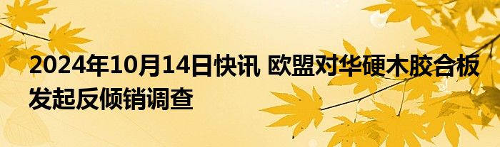 2024年10月14日快讯 欧盟对华硬木胶合板发起反倾销调查