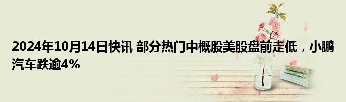 2024年10月14日快讯 部分热门中概股美股盘前走低，小鹏汽车跌逾4%