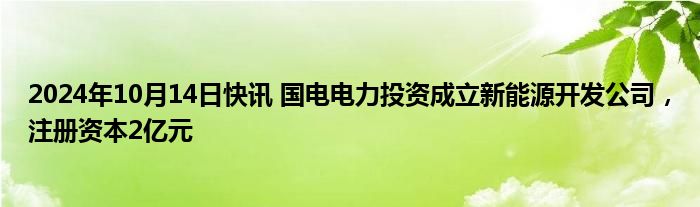 2024年10月14日快讯 国电电力投资成立新能源开发公司，注册资本2亿元