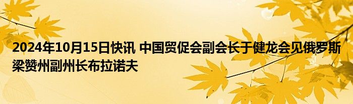 2024年10月15日快讯 中国贸促会副会长于健龙会见俄罗斯梁赞州副州长布拉诺夫