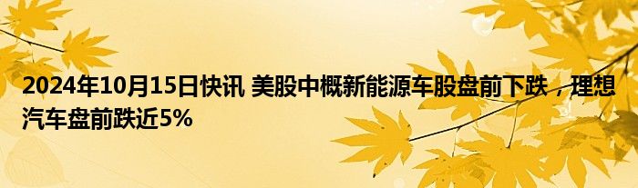 2024年10月15日快讯 美股中概新能源车股盘前下跌，理想汽车盘前跌近5%