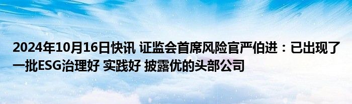 2024年10月16日快讯 证监会首席风险官严伯进：已出现了一批ESG治理好 实践好 披露优的头部公司