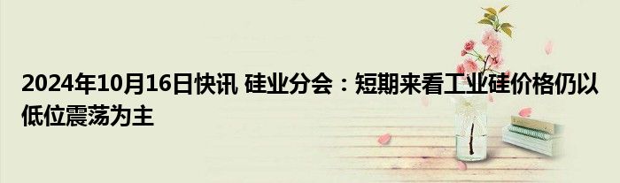 2024年10月16日快讯 硅业分会：短期来看工业硅价格仍以低位震荡为主