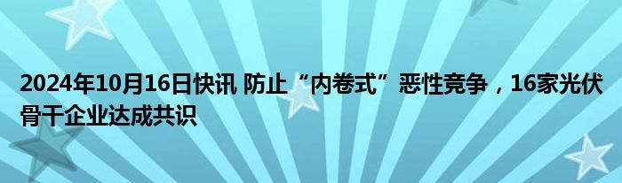 2024年10月16日快讯 防止“内卷式”恶性竞争，16家光伏骨干企业达成共识