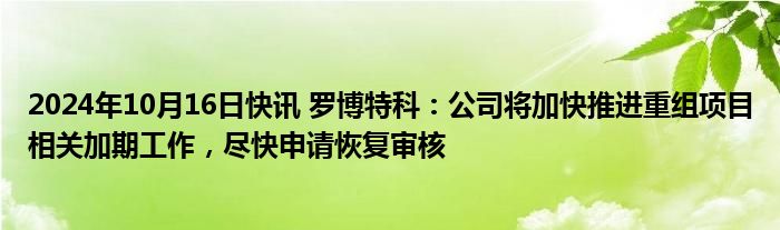 2024年10月16日快讯 罗博特科：公司将加快推进重组项目相关加期工作，尽快申请恢复审核