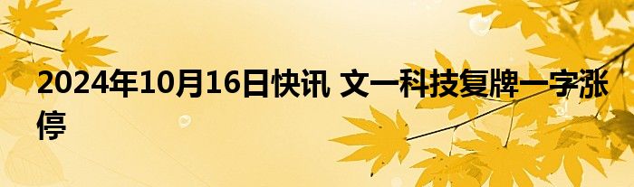 2024年10月16日快讯 文一科技复牌一字涨停