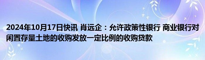 2024年10月17日快讯 肖远企：允许政策性银行 商业银行对闲置存量土地的收购发放一定比例的收购贷款