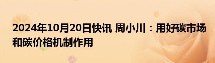 2024年10月20日快讯 周小川：用好碳市场和碳价格机制作用