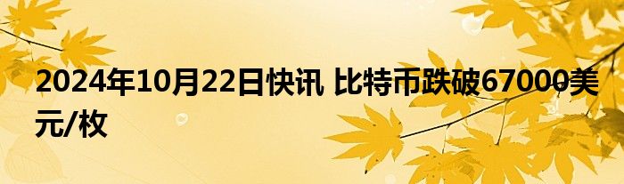 2024年10月22日快讯 比特币跌破67000美元/枚