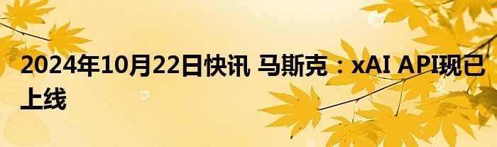 2024年10月22日快讯 马斯克：xAI API现已上线