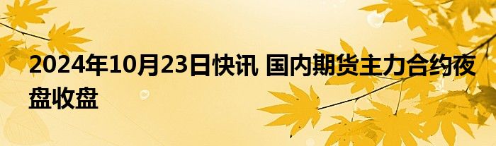 2024年10月23日快讯 国内期货主力合约夜盘收盘