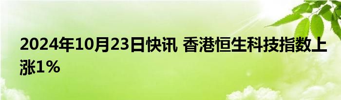 2024年10月23日快讯 香港恒生科技指数上涨1%