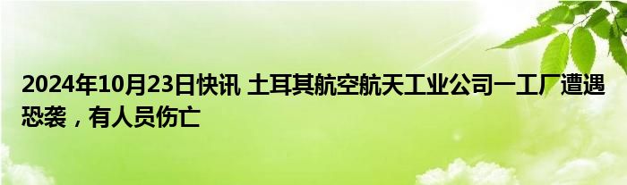 2024年10月23日快讯 土耳其航空航天工业公司一工厂遭遇恐袭，有人员伤亡