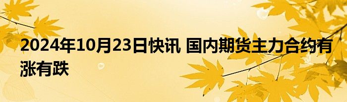 2024年10月23日快讯 国内期货主力合约有涨有跌