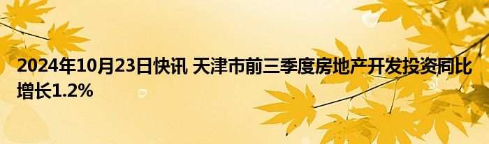 2024年10月23日快讯 天津市前三季度房地产开发投资同比增长1.2%