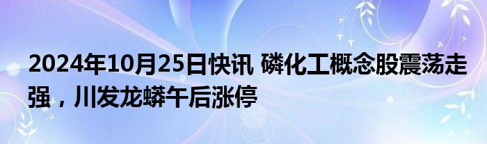 2024年10月25日快讯 磷化工概念股震荡走强，川发龙蟒午后涨停