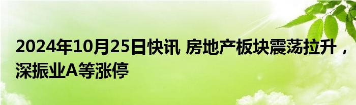 2024年10月25日快讯 房地产板块震荡拉升，深振业A等涨停