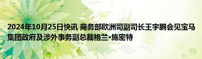 2024年10月25日快讯 商务部欧洲司副司长王宇鹏会见宝马集团政府及涉外事务副总裁格兰·施密特